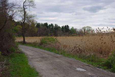 Enlarge photo 38