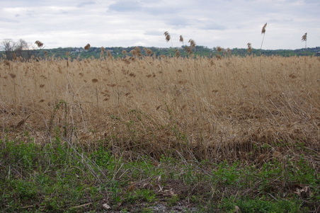 Enlarge photo 39