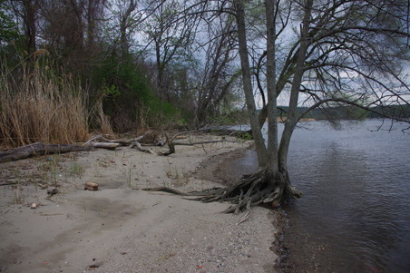 Enlarge photo 40