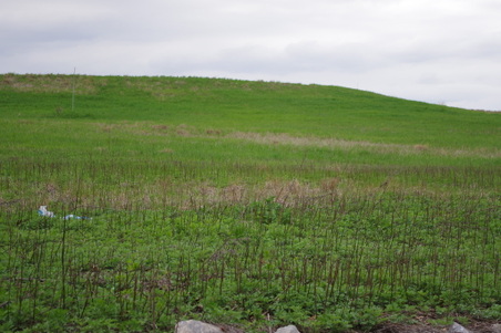 Enlarge photo 41