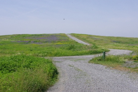 Enlarge photo 42