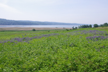 Enlarge photo 43