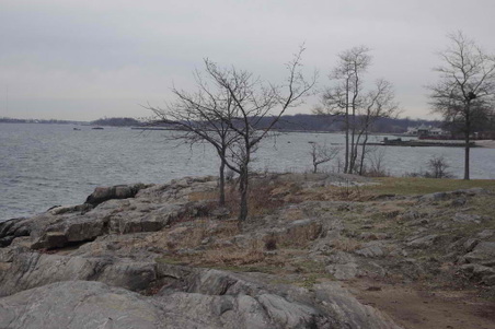 Enlarge photo 18