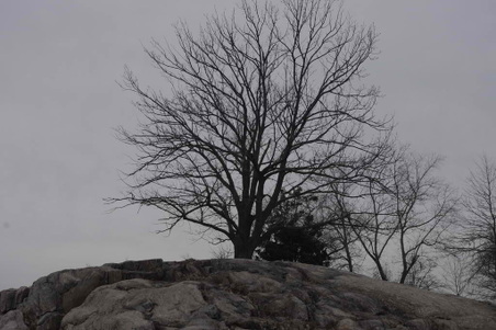Enlarge photo 20