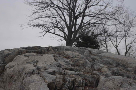 Enlarge photo 21