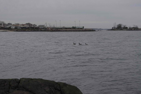 Enlarge photo 23