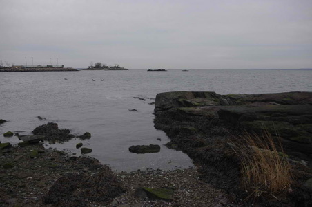 Enlarge photo 25