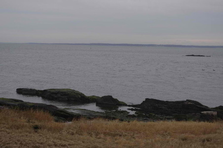 Enlarge photo 30