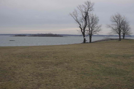 Enlarge photo 33