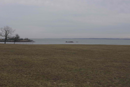 Enlarge photo 37