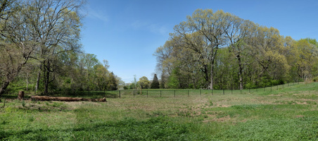 Enlarge photo 24