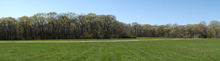 Enlarge photo 17