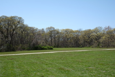 Enlarge photo 18
