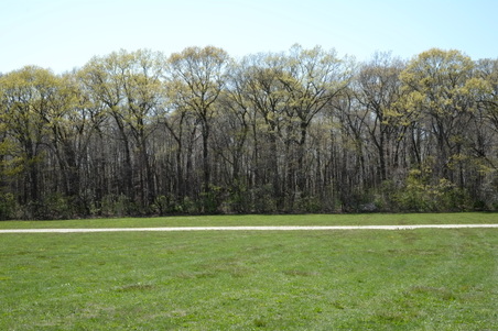 Enlarge photo 19