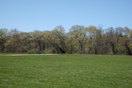 Enlarge photo 20