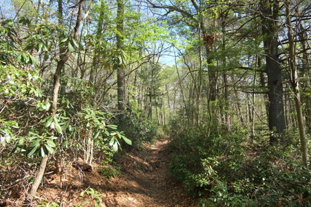 Enlarge photo 2