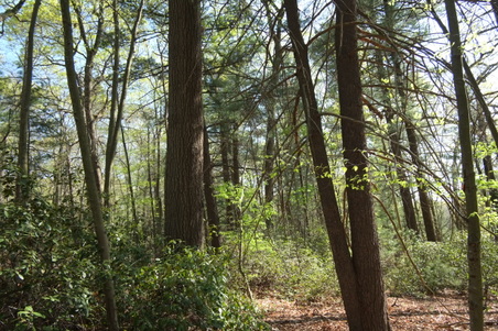 Enlarge photo 3