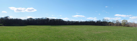 Enlarge photo 14