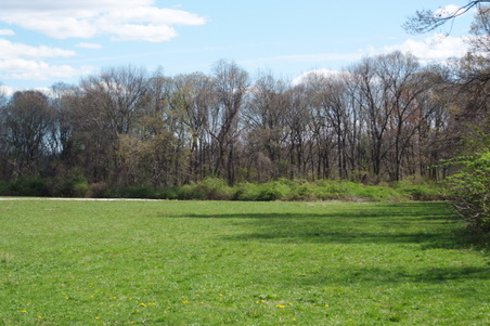 Enlarge photo 21