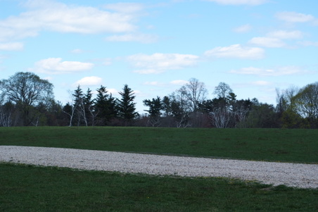 Enlarge photo 23