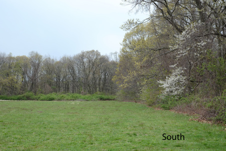 Enlarge photo 3
