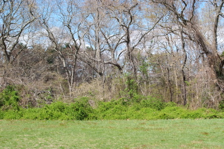 Enlarge photo 27