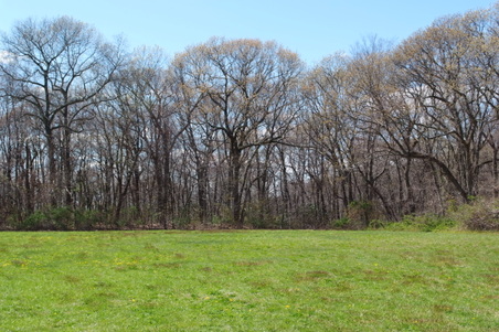 Enlarge photo 29
