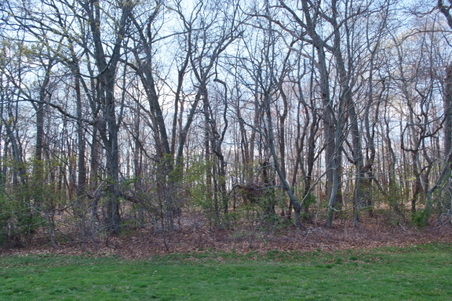 Enlarge photo 30