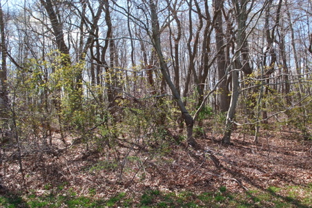 Enlarge photo 31