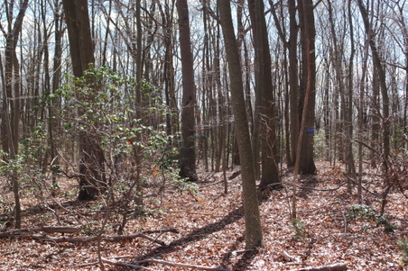 Enlarge photo 32