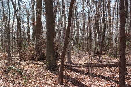 Enlarge photo 33