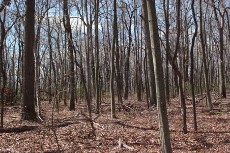 Enlarge photo 34