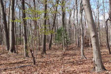 Enlarge photo 35