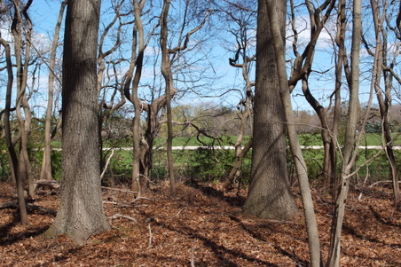 Enlarge photo 36