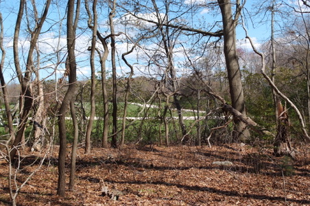 Enlarge photo 37
