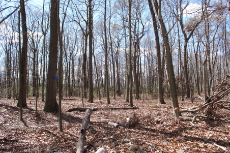 Enlarge photo 38