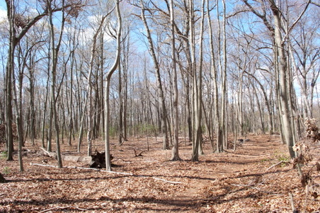 Enlarge photo 39