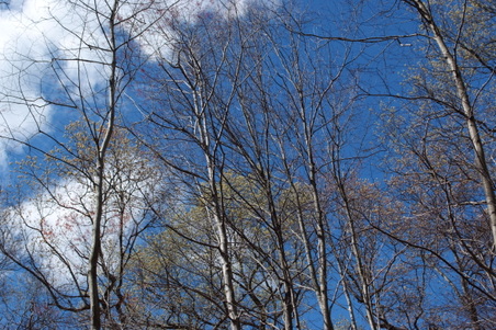 Enlarge photo 42