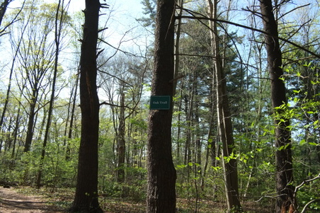Planting Field- Oak Trail