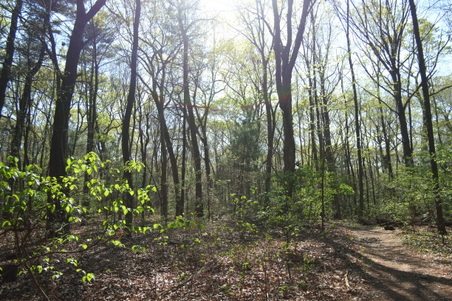 Enlarge photo 2