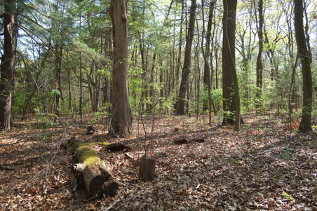 Enlarge photo 3