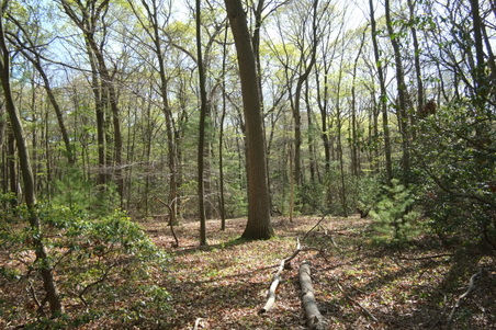 Enlarge photo 4