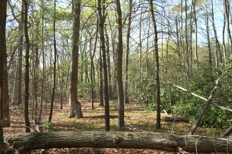 Enlarge photo 6