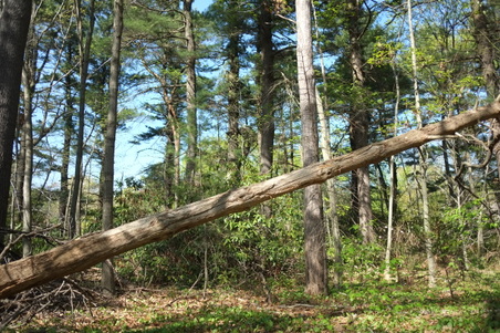Enlarge photo 7