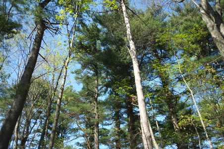 Enlarge photo 8