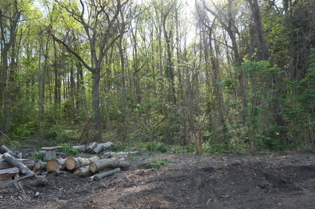 Enlarge photo 6