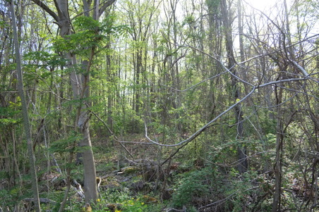 Enlarge photo 7