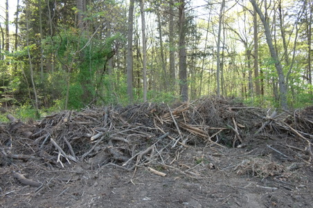 Enlarge photo 8