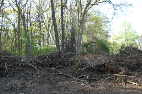 Enlarge photo 9