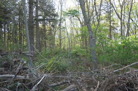 Enlarge photo 10